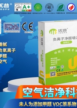 優(yōu)普金典X6型負(fù)離子凈醛墻泥